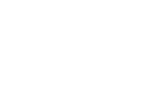 denver 300x500